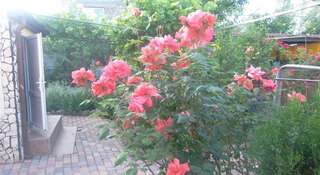 Гостевой дом Mini-Hotel Mirt Феодосия-1